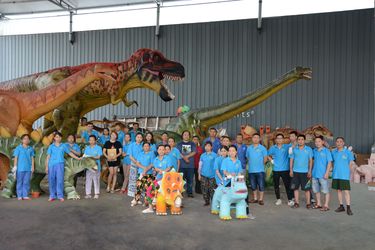 China Zigong Co-Creation Culture & Arts Co., Ltd. Profiel van het bedrijf