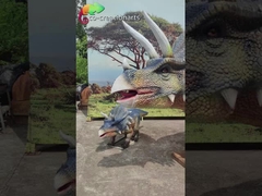 Realistische Animatronische Triceratops Trio: Brullende Groep met Dynamische Beweging & Prehistorische Tentoonstelling