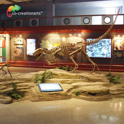 kopen Van het de Dinosaurusskelet van de Sunproofhars de Schedel van Gasosaurus online manufacture