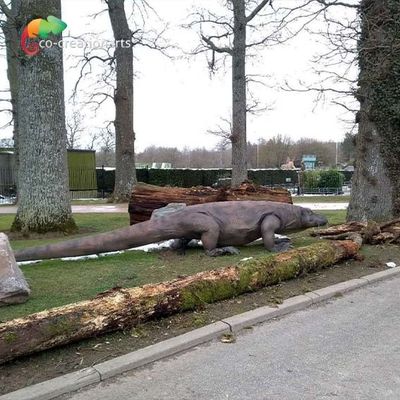 Realistische Animatronische Komodo Draak Met Dynamische Beweging & Natuurlijke Habitat Detail