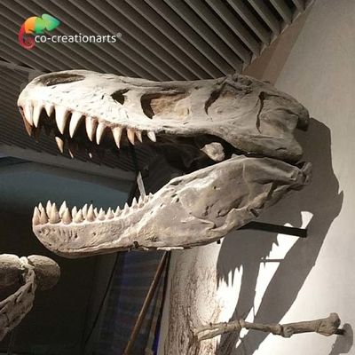 kopen Van het de Dinosaurusskelet van Ce Realistische Artistieke de Replicat Rex Skeleton Head High simulatie online manufacture