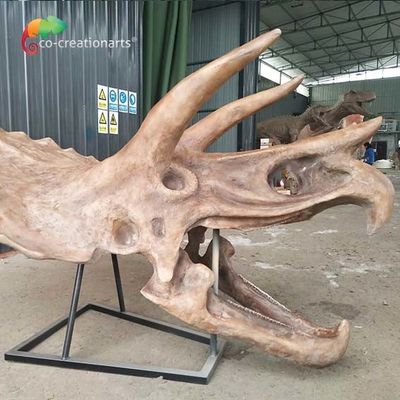 kopen ISO-van de het Skeletreplica van de water de afstotende Dinosaurus Schedel van Triceratops Fossiele Levensgrote online manufacture