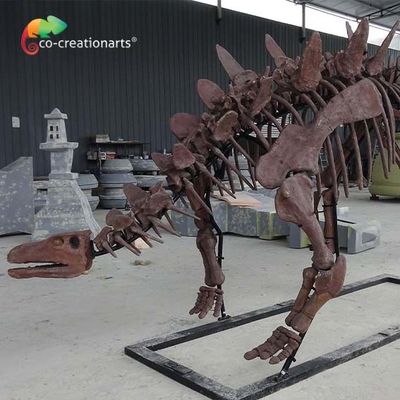 kopen Van de de Groottedinosaurus van ISO Zigong Echte het Skeletreplica voor Museumtentoonstelling online manufacture
