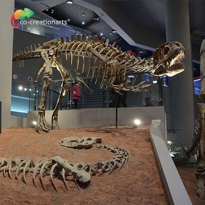 kopen landscape decoration Outdoor Yangchuanosaurus Skeleton Dinosaur Replica Fossil online manufacture