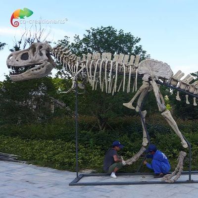 kopen lengte 15m van de Dinosaurusreplica's T Rex Skull van de Museumkwaliteit het waterafweermiddel online manufacture