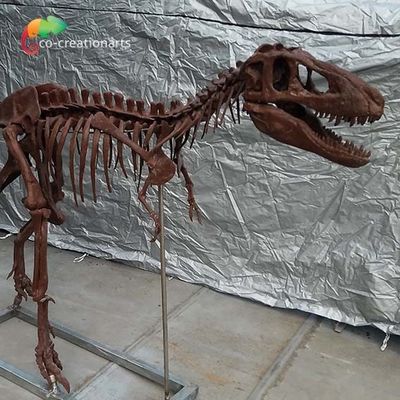 kopen Gepersonaliseerde het Beenreplica's T Rex Skull Replica van de aanpassingsdinosaurus online manufacture