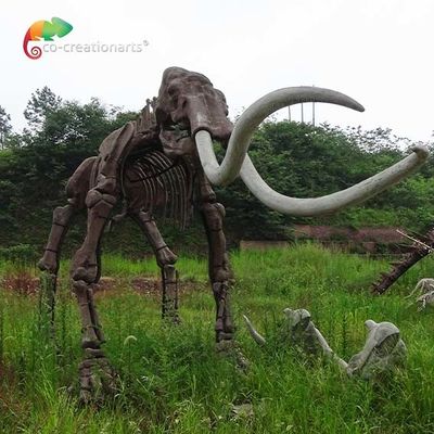 kopen van de de Groottereplica van weerreistance het Echte Model van de Skelettenmammuthus Dierlijke online manufacture