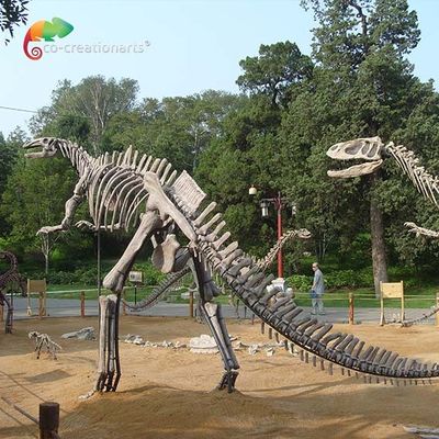 kopen Van de de Schedelreplica van de glasvezel het Levensgrote Dinosaurus het Skelet van Hadrosaurus anti verouderen online manufacture