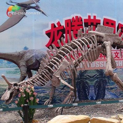 kopen Van de Dinosaurus het Fossiele Replica's van de parkdecoratie Skelet Sunproof van Tsintaosaurus Levensgrote online manufacture