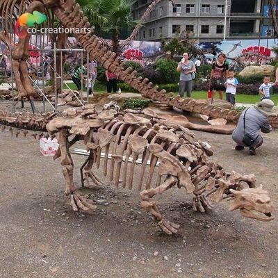 Van het de Dinosaurusskelet van de parkdecoratie de Replica Levensgrote Sunproof