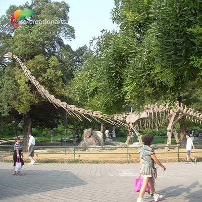 kopen Sunproof Levensgrote Dinosaurus Modelskeleton mamenchisaurus skeleton 15m online manufacture
