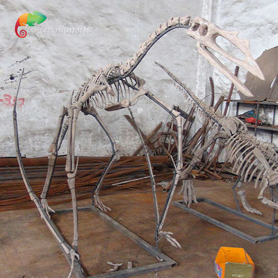 kopen Van de de Harsdinosaurus van de museumtentoonstelling Klantgerichte het Skelet van het Skeletquetzalcoatlus online manufacture