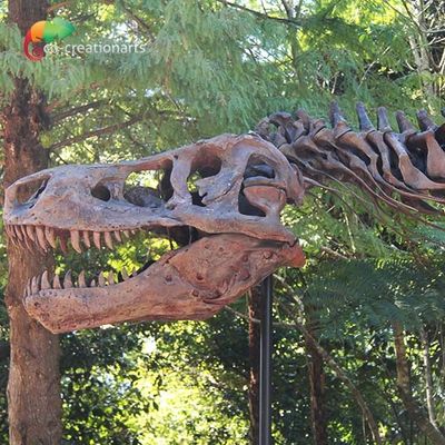 Weerbestendigheid T Rex Skeleton Replica