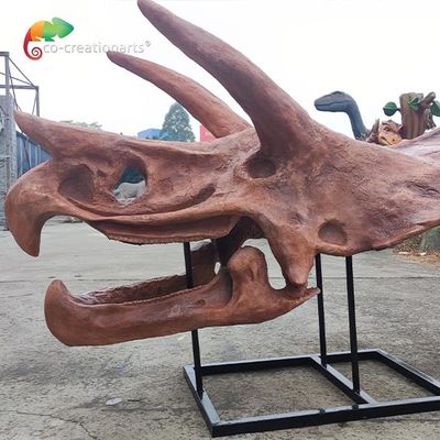 kopen Het Juraskelet Sunproof van Triceratops van de Wereldreplica voor Museum online manufacture