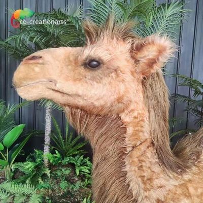 Kunstmatige Realistische Aangepaste ver Gecontroleerde de Groottekameel van Animatronic Dieren