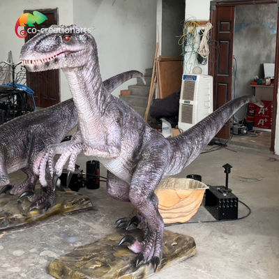 kopen Realistische geluidscontrolesystemen Animatronische Dinsoaur Simulatio Velociraptor Voor tentoonstelling online manufacture