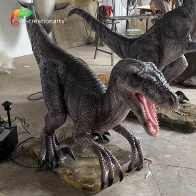 kopen Vermaakpark Levensgrootte Animatronische Dinosaurussen Animatronische Velociraptor Met Realistische Beweging En Geluid online manufacture