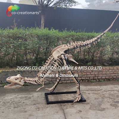 kopen Hoog gedetailleerde buiteninrichting Hars Dinosaurus Skelet Replica T-Rex Skelet online manufacture