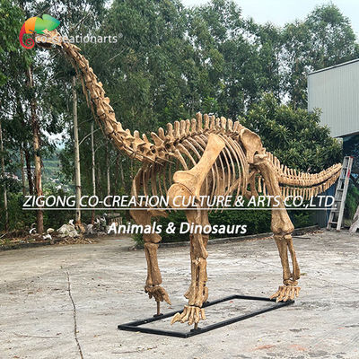 kopen Authentieke gepersonaliseerde dinosaurus skelet model voor buiten decoratie Shunosaurus skelet replica's online manufacture